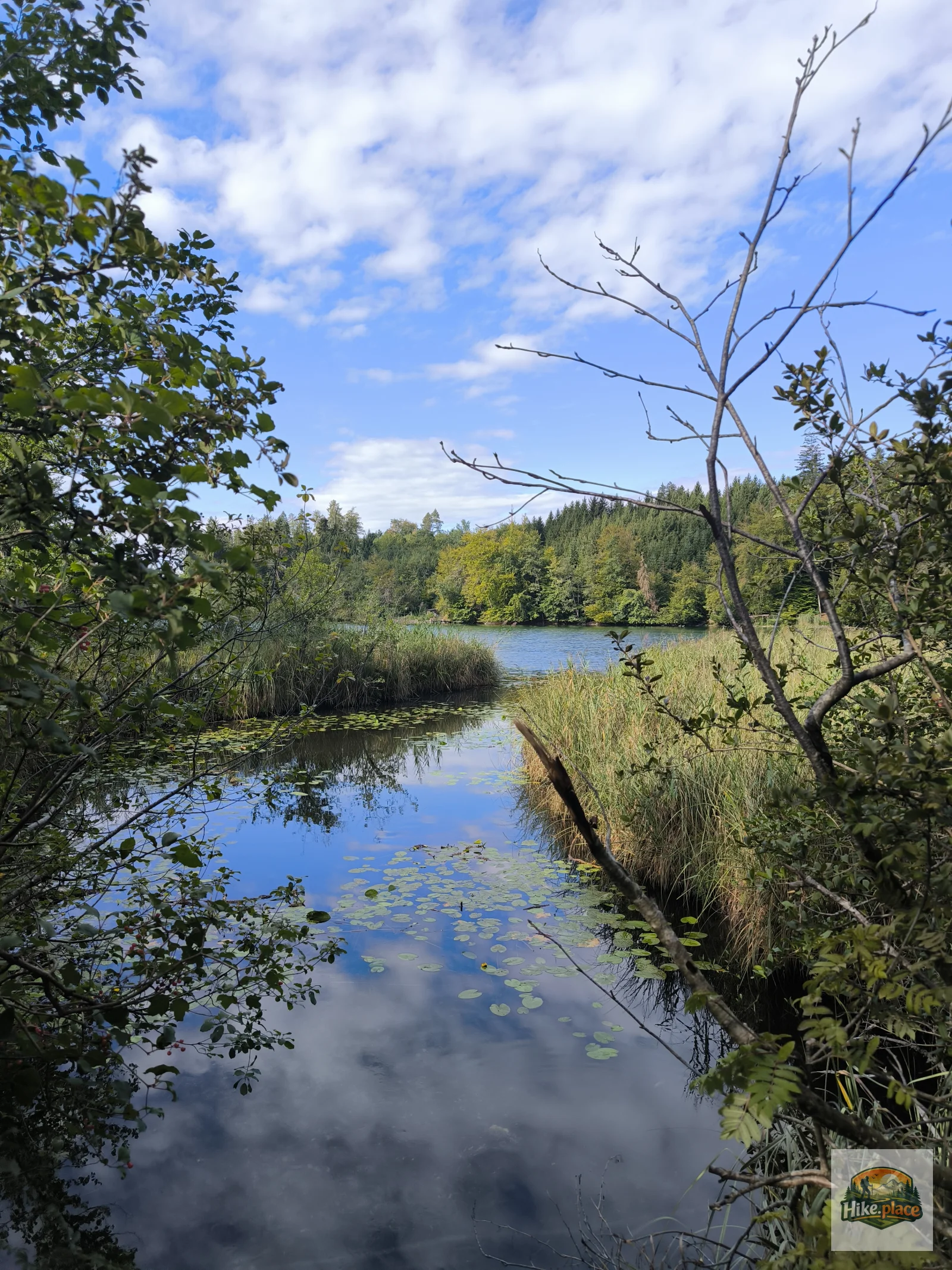 A Walk Through the Eggstätt-Hemhofer Lake District: 6 km of Calm Near Chiemsee