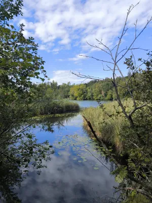 A Walk Through the Eggstätt-Hemhofer Lake District: 6 km of Calm Near Chiemsee