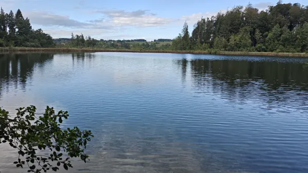 A Walk Through the Eggstätt-Hemhofer Lake District: 6 km of Calm Near Chiemsee