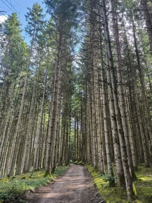 A Walk Through the Eggstätt-Hemhofer Lake District: 6 km of Calm Near Chiemsee