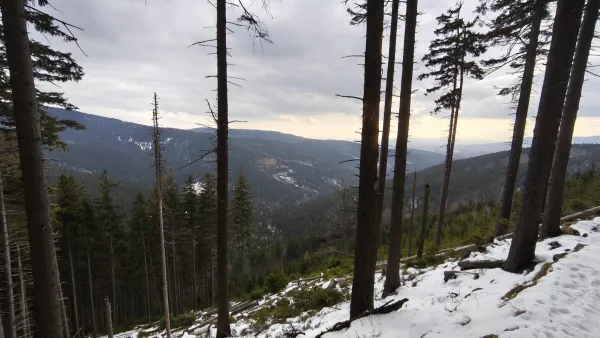 Jeseníky ridge in three days: from Ostružná over Praděd to Stará Ves