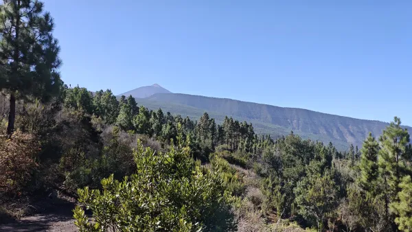 Six days across Tenerife on the GR 131: from Arona over the slopes of Teide to La Esperanza