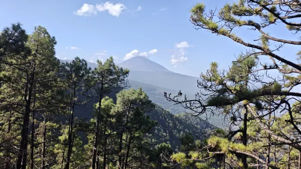 Six days across Tenerife on the GR 131: from Arona over the slopes of Teide to La Esperanza
