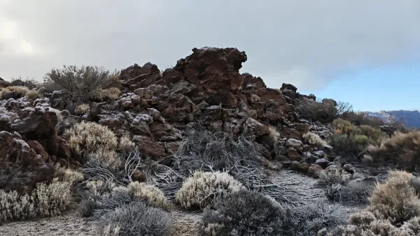 Six days across Tenerife on the GR 131: from Arona over the slopes of Teide to La Esperanza