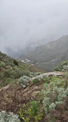 Bonus day in Anaga: from Almáciga beach up to Cruz del Draguillo, soaked to the skin