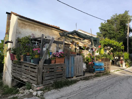 Corfu: Between Sage and Freddo Cappuccino