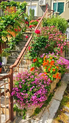 Corfu: Between Sage and Freddo Cappuccino