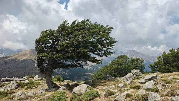 GR20 in Corsica: 11 Days on Europe's Toughest Trek — Streckenansicht 6/11